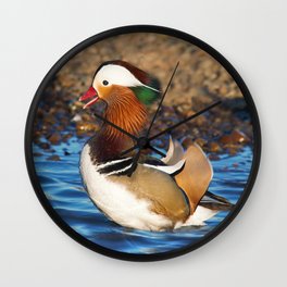 Mandarin Duck at the Pond Wall Clock