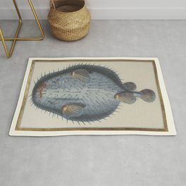 Pufferfish 18th century French manuscript hand drawn and coloured - Blue Print Rug