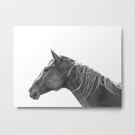Muddy Horse, Black and White Metal Print