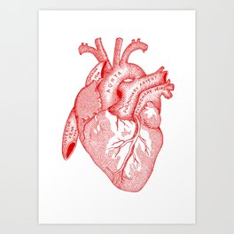 Study of the Heart [red] Art Print