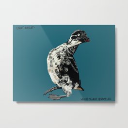 Least Auklet Metal Print | Audubon, Bird, Leastauklet, Arctic, Auklet, Painting, Savoonga, Seabird, Alaska 