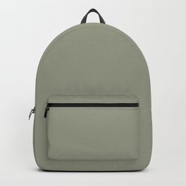 Pastel Sage Green Solid Color Pairs To Dunn & Edwards Flagstone Quartzite DET517 Backpack