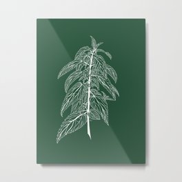 Stinging Nettle Metal Print | Plant, Botanical, Digital, Drawing, Nature, Flower, Stingingnettle, Green 
