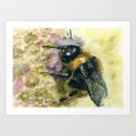 Watercolour Bumble Bee Art Print