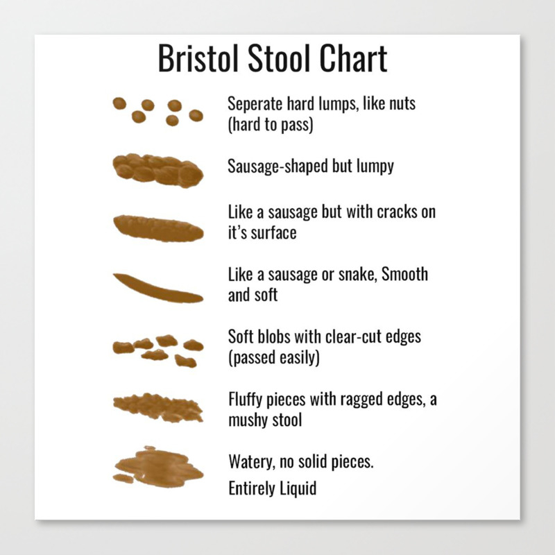 Printable Bristol Stool Chart