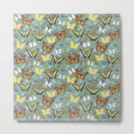 Butterfly mix 5 - 1970s style, monarchs, tiger swallowtails, sulphurs, cabbage white, eastern tailed blues Metal Print