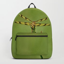 Dragon Fly Backpack