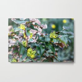 Der blühenden Strauch Metal Print | Hdr, Photo, Flower, Digital, Color 